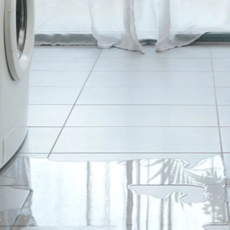 Appliance Leak Cleanup in Pebble Creek, FL